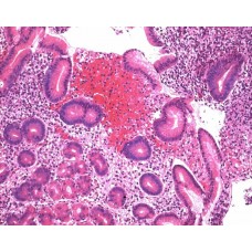 HEMATOXILINA SEG. MAYER P/ MICROSCOPIA MERCK (FRASCO 2,5L)