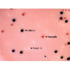 SALMOSYST BROTH BASE P/ SALMONELLA RENDIMENTO 25,0g/l MERCK EMB 500GR