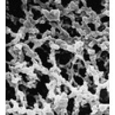 MEMBRANA FILTRANTE MISTURA ESTERES AA DIAM. 142mm PORO 0,8um MILLIPORE - 50 UND