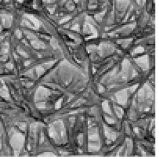 CARTAO ABSORVENTE TIPO AP10 (PAD) CELULOSE DIAM 47mm MILLIPORE - 100 UND