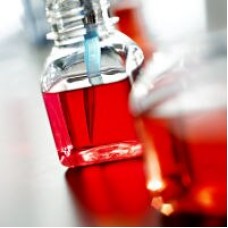 MEIO DE CULTURA EMBRIOMAX DMEM/FT12HEPES L-GLUTAMINA TEMPERATURA TRANSPORTE E ARMAZENAMENTO 4C 500ML (UND) MILLIPORE