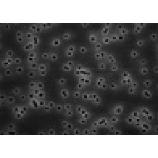 MEMBRANA FILTRAÇÃO PTFE FLUOROPORE FA DIAM. 13mm PORO 1,0um HIDROFOBICA BRANCA LISA (CX) MILLIPORE MEMBRANA FILTRAÇÃO PTFE FLUOROPORE FA DIAM. 13mm PORO 1,0um HIDROFOBICA BRANCA LISA (CX) MILLIPORE