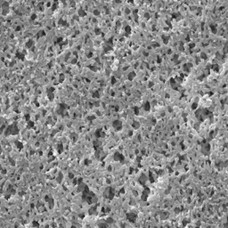 MEMBRANA FILTRAÇÃO NYLON DIAM. 47mm PORO 0,22um MILLIPORE (CX C/ 100 UND)