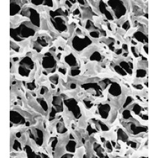 MEMBRANA FILTRAÇÃO PVDF DURAPORE GV DIAM. 142mm PORO 0,22um HIDROFILICA BRANCA LISA (CX) MILLIPORE MEMBRANA FILTRAÇÃO PVDF DURAPORE GV DIAM. 142mm PORO 0,22um HIDROFILICA BRANCA LISA (CX) MILLIPORE