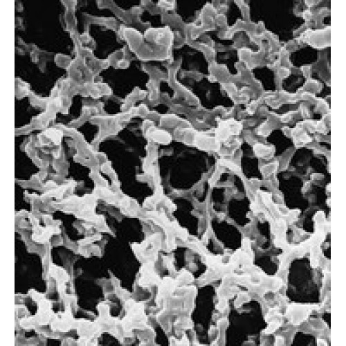 MEMBRANA FILT. MISTURAS ESTERES HA 47MM PORO 0,45um TRITON FREE LISA (CX/100 UND) MEMBRANA FILT. MISTURAS ESTERES HA 47MM PORO 0,45um TRITON FREE LISA (CX/100 UND)