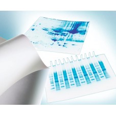 MEMBRANA PVDF IMMOBILON 0,26m X 3,75m PORO 0,45um PARA TRANSFERENCIA DE PROTEINAS (UND) MILLIPORE MEMBRANA PVDF IMMOBILON 0,26m X 3,75m PORO 0,45um PARA TRANSFERENCIA DE PROTEINAS (UND) MILLIPORE