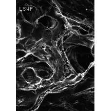 MEMBRANA FILTRAÇÃO PTFE MITEX LS DIAM. 47mm PORO 5um BRANCA LISA SEM SUPORTE EM PE (CX) MILLIPORE MEMBRANA FILTRAÇÃO PTFE MITEX LS DIAM. 47mm PORO 5um BRANCA LISA SEM SUPORTE EM PE (CX) MILLIPORE