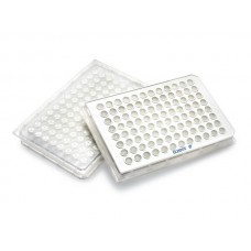 PLACA MULTISCREEN DV COM MEMBRANA PVDF 0,65um 96 POCOS TRANSPARENTE NAO ESTERIL (CX) MILLIPORE