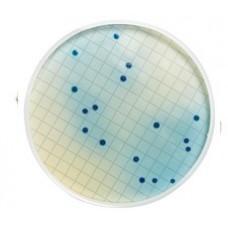 ACIDO ROSOLICO INDICADOR EMB C/ 25g MILLIPORE
