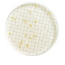 MEIO TGE CALDO DESIDRATADO PÓ FRASCO COM 113,5g PARA CONTAGEM TOTAL DE BACTERIAS (EMB) MILLIPORE