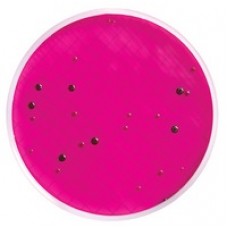 MEIO M ENDO EM AMPOLA 2ml PARA COLIFORMES TOTAIS (CX) MILLIPORE