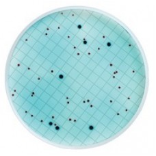 MEIO M FC EM AMPOLA 2ml PARA COLIFORMES FECAIS (CX) MILLIPORE