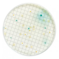 MEIO PSEUDOMONAS EM AMPOLA 2ml (CX) MILLIPORE