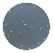 MEIO PRY EM AMPOLA 2ml PARA LEVEDURAS RESISTENTES A CONSERVANTES (CX) MILLIPORE