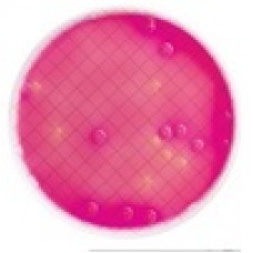 MILLIFLEX MEIO MAC CONKEY AGAR PARA BACTERIAS FERM. LACTOSE USP VALIDADE MINIMA:3 MESES (CX) MILLIPORE