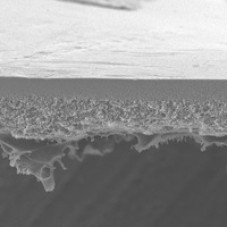 MEMBRANA BIOMAX POLIETERSULFONA CUT OFF DE 500.000NMWL DISCOS DE 43mm DE DIAMETRO (CX) MILLIPORE MEMBRANA BIOMAX POLIETERSULFONA CUT OFF DE 500.000NMWL DISCOS DE 43mm DE DIAMETRO (CX) MILLIPORE