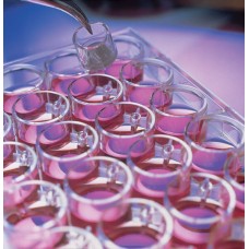 FILTRO MILLICEL HA EM POLIESTIRENO C/ MEMB. ESTERES MISTOS CELULOSE PORO 0,45um 12mm  MILLIPORE (50/CX)