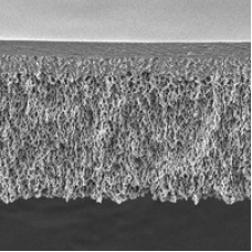 FILTRO MEMBRANA DE ULTRAFILTRACAO EM CELULOSE REGENERADA 3000 DALTONS 25MM (CX) MILLIPORE