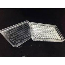 PLACA 96 POÇOS FUNDO EM U EM PP ESTÉRIL (EMB C/ 100 UND) CORNING