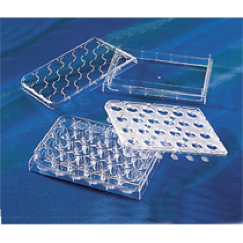 PLACA TRANSWELL-24 HTS 6.5mm, 0.4um, ESTÉRIL, IND, (EMB COM 2 PLACAS HTS 2 RESERV 2 PLACAS WRAPPED) CORNING PLACA TRANSWELL-24 HTS 6.5mm, 0.4um, ESTÉRIL, IND, (EMB COM 2 PLACAS HTS 2 RESERV 2 PLACAS WRAPPED) CORNING