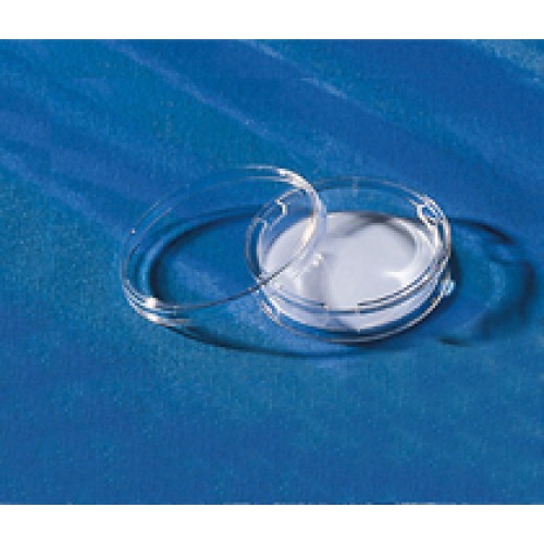 PLACA TRANSWELL PC 75mm, 3.0um, TCT, S, (1 PLACA COM 1 INSERTO CADA) EMB C/ 12 UND CORNING PLACA TRANSWELL PC 75mm, 3.0um, TCT, S, (1 PLACA COM 1 INSERTO CADA) EMB C/ 12 UND CORNING