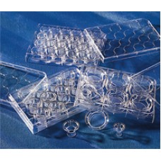 PLACA TRANSWELL CLR 12mm, 0.4um, TCT, PE, S, (EMB COM 48 INSERTOS) CORNING