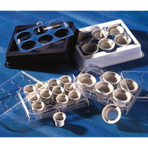 PLACA NETWELL 15mm, 74um, PS, S, 12 POÇOS (EMB COM 48 INSERTOS) CORNING PLACA NETWELL 15mm, 74um, PS, S, 12 POÇOS (EMB COM 48 INSERTOS) CORNING