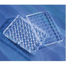 PLACA 48 POÇOS FUNDO PLANO PARA CULTURA COM TAMPA ESTERILIZADA POR RAIO GAMA (EMB C/ 100 UND) CORNING