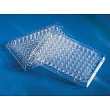 PLACA 96 POÇOS FUNDO PLANO EM PS EIA/RIA NÃO ESTÉRIL, SEM TAMPA (EMB C/ 50 UND) CORNING