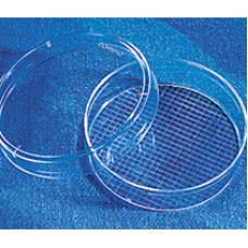 PLACA PARA CULTURA CELULAR 60x15mm 21cm2 COM GRID (CERT. APIROGENICO) EMB C/ 500 UND - CORNING