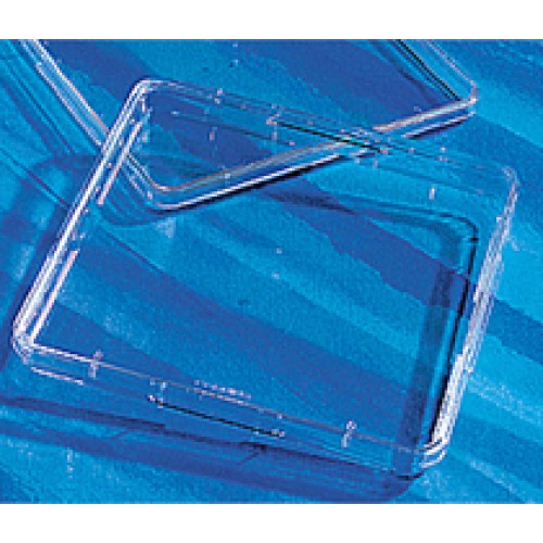 PLACA PARA CULTURA CELULAR NAO TRATADA QUAD 245x245mm (CERT. APIROGENICO ESTERIL COM TAMPA) EMB C/ 16 UND CORNING PLACA PARA CULTURA CELULAR NAO TRATADA QUAD 245x245mm (CERT. APIROGENICO ESTERIL COM TAMPA) EMB C/ 16 UND CORNING