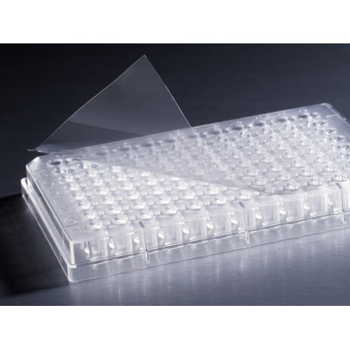 FILME SELADOR ADESIVO TRANSPARENTE ÓTICO P/ PLACAS PCR, NÃO ESTÉRIL CORNING (EMB. C/ 100 UND) FILME SELADOR ADESIVO TRANSPARENTE ÓTICO P/ PLACAS PCR, NÃO ESTÉRIL CORNING (EMB. C/ 100 UND)