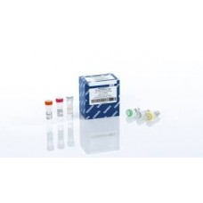 QUANTINOVA PROBE RT-PCR KIT (500)     QIAGEN