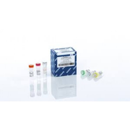 QUANTINOVA PROBE RT-PCR KIT (REND. 2500 EXTRAÇÕES) QIAGEN QUANTINOVA PROBE RT-PCR KIT (REND. 2500 EXTRAÇÕES) QIAGEN