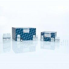 KIT EXTRAÇÃO QIAAMP VIRAL RNA MINI KIT (ENDIMENTO: 250 EXTRAÇÕES)  QIAGEN