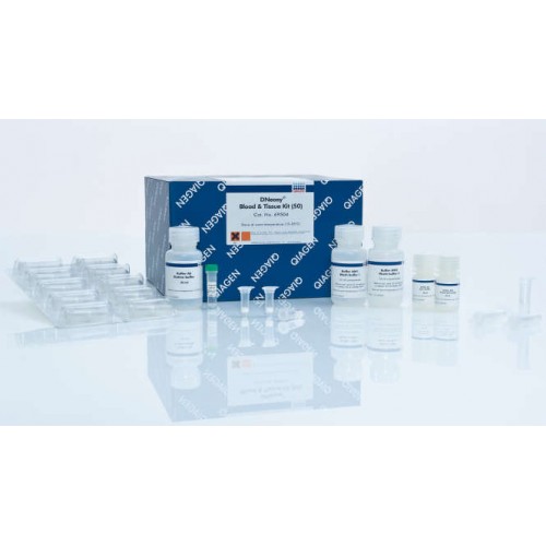 KIT EXTRAÇÃO DNEASY BLOOD & TISSUE (RENDIMENTO: 50 EXTRAÇÕES) QIAGEN KIT EXTRAÇÃO DNEASY BLOOD & TISSUE (RENDIMENTO: 50 EXTRAÇÕES) QIAGEN