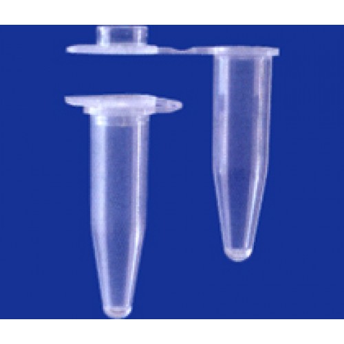 TUBO P/PCR 0,5ml EM PP TP PLANA LIVRE DNAse RNAse DNA (EMB. C/ 1000 UND) BRAND - PAREDE EXTRA FINA E PERFEITA VEDAÇÃO TRANSPARENTE TUBO P/PCR 0,5ml EM PP TP PLANA LIVRE DNAse RNAse DNA (EMB. C/ 1000 UND) BRAND - PAREDE EXTRA FINA E PERFEITA VEDAÇÃO TRANSPARENTE