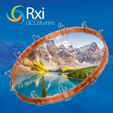 RTX-1 10mx0,10mm FILME 0,10um COLUNA CAPILAR CG RESTEK