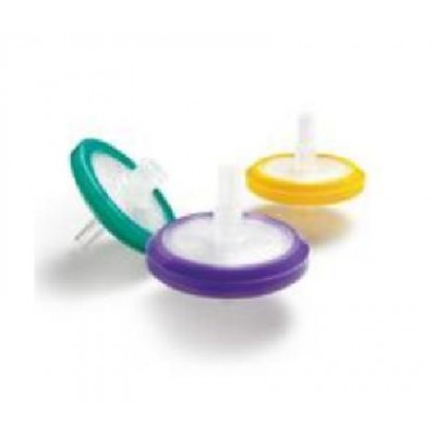 Los Angeles