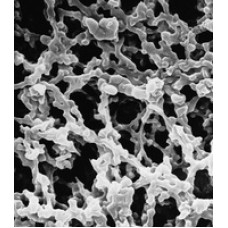 MEMBRANA FILTRAÇÃO MISTURA ESTERES SS DIAM. 142mm PORO 3,0um BRANCA LISA (CX) MILLIPORE
