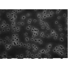 MEMBRANA FILTRAÇÃO POLICARBONATO ISOPORE DIAM. 13mm PORO 0,1um (CX) MILLIPORE